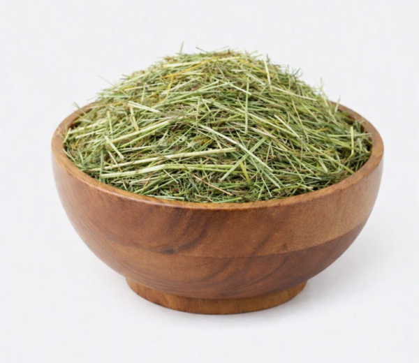 Timothy Hay Timothy Hay