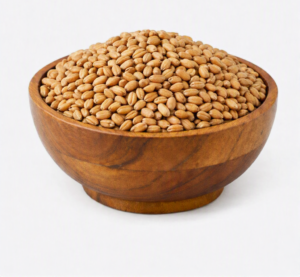 Wheat Grains Wheat Grains